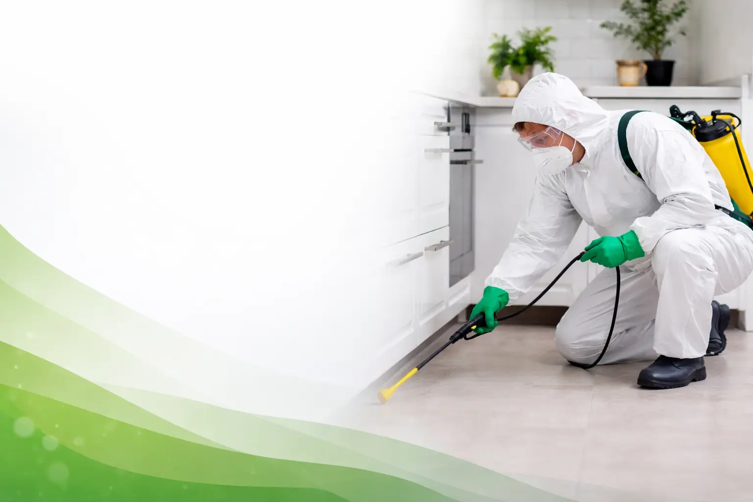 Best Pest Control Treatment